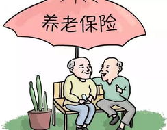 社保和养老保险是一回事吗,本质关联与区别解析