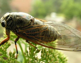 知了新闻爆料,揭秘事件背后惊人真相